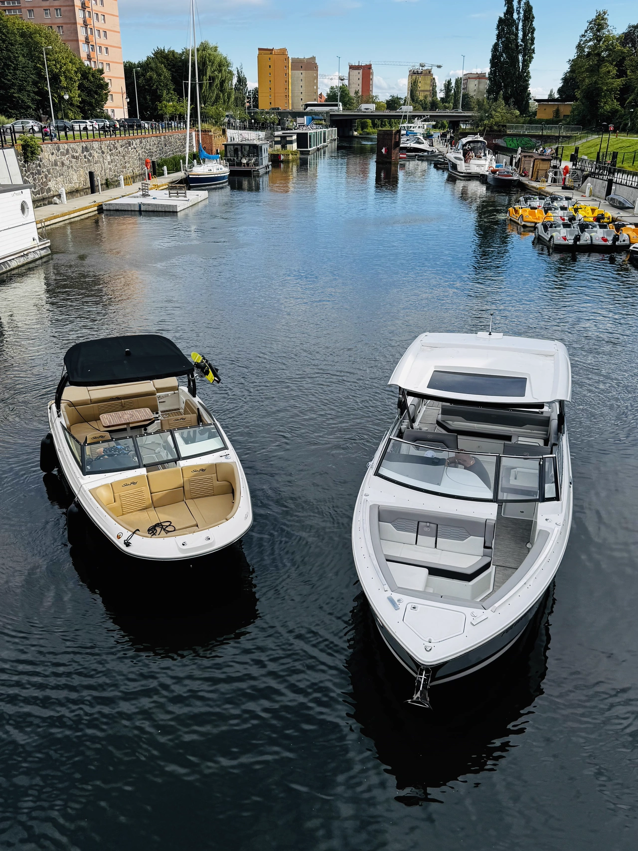 SEA RAY SPX230 zdjęcie 2